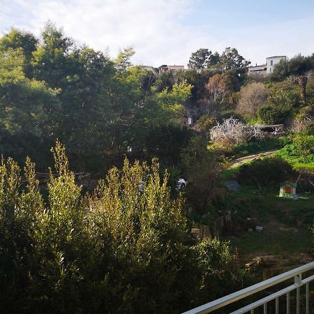 Appartement Rue Colonella Proche Citadelle Bastia  Zewnętrze zdjęcie